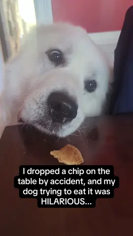 I guess he got it in the end 🤔🤔 #RoadTo16Million #Pubity  (Laurena Bernabo via ViralHog)