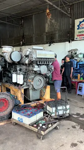 Tiếng nổ động cơ máy thuỷ Yanmar 829 mã lực #thanhbinhmaythuy #maythuyyanmar #yanmar #dânbiển #anhemdanbien86 #xuhuongtiktok 