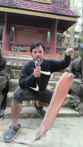 ไม่เชื่ออย่าลบหลู่ #คนไทยเป็นคนตลก #ฮาๆ #ขําๆ #ตลก #555 #tiktok #fyp #viral #ตูนอ้อมกอดแรกใจ #ตูนปันสุข #555 