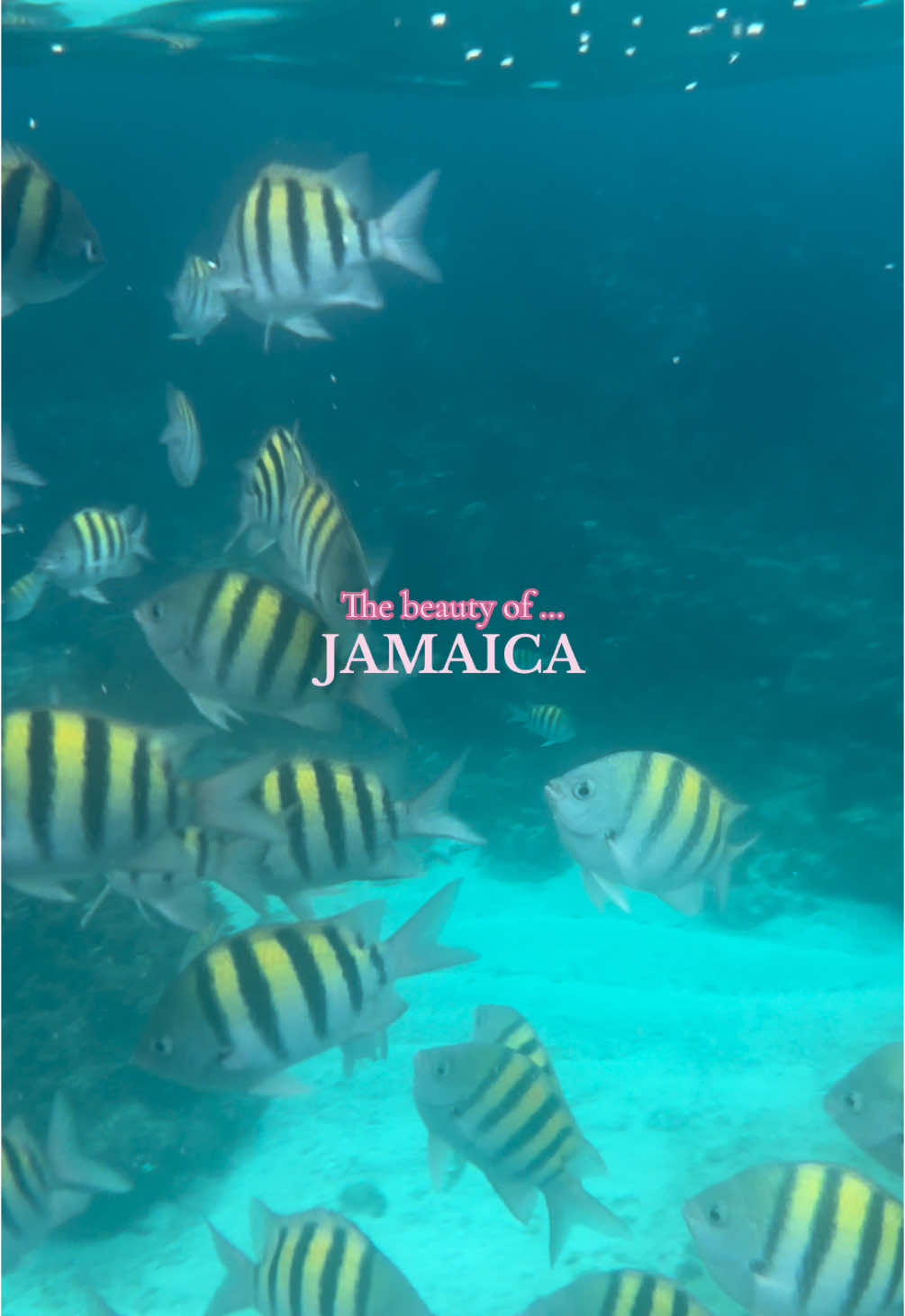 If u get the chance, please go🤍#jamaica#ugctravel#ugccontentcreator 
