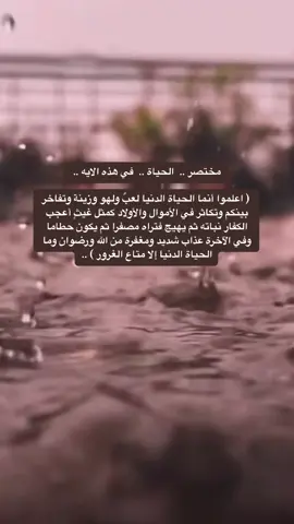 #تلاوة_خاشعة #ماهرالمعيقلي #قران_كريم #القران #سبحان_الله_وبحمده_سبحان_الله_العظيم #🤲🏻 #🤍 #♥️ 