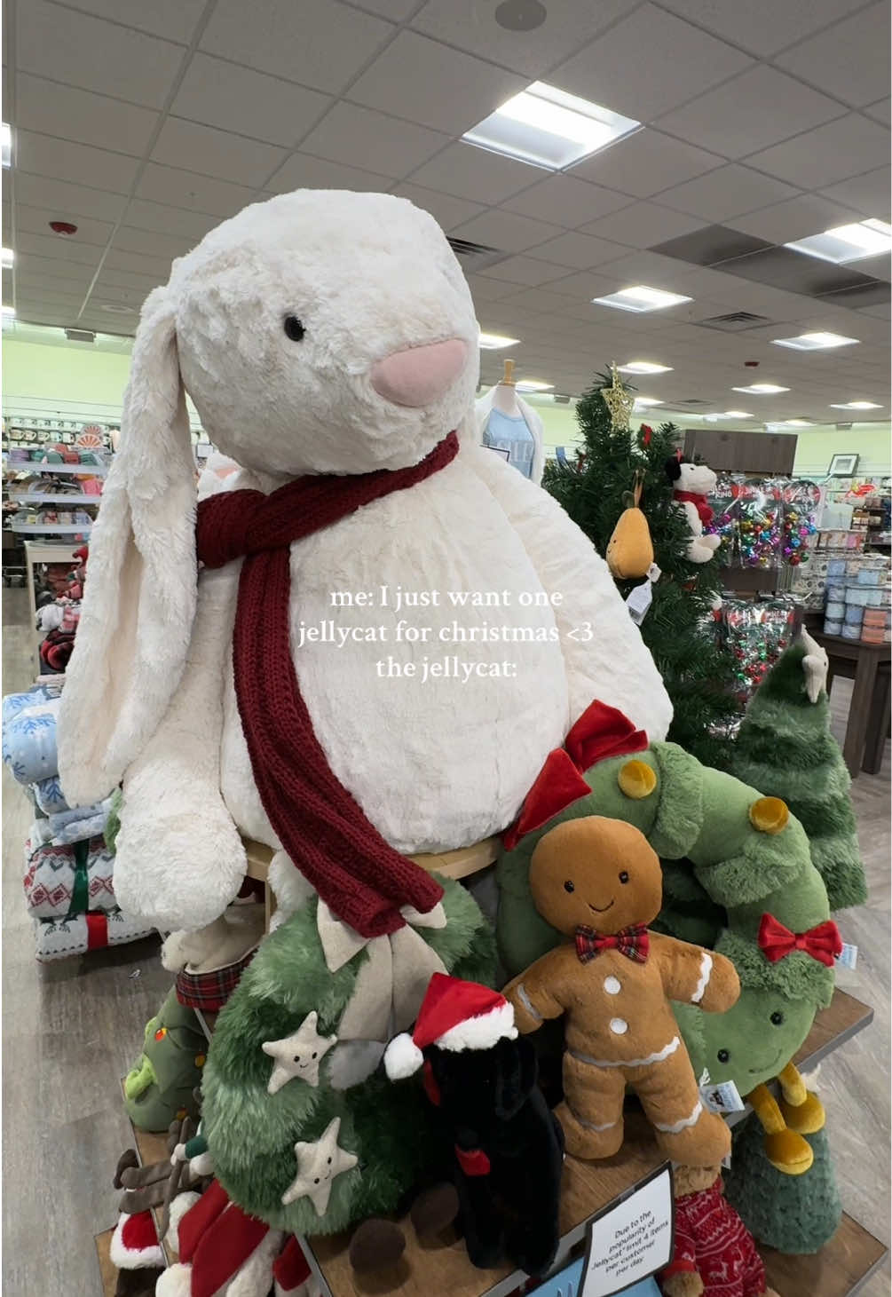 The way my jaw dropped when i walked in its so big the price tho 👀🫢♥️🧸✨ HAHAHAH #jellycat #jellycatcollection #christmasjellycats #jellycats #christmasgift #giftideas #christmascountdown #christmastiktok #jellycathaul #biggestjellycat @Jellycat 