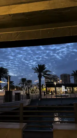 #fyp #explore #jeddah #بدر_عبدالمحسن 