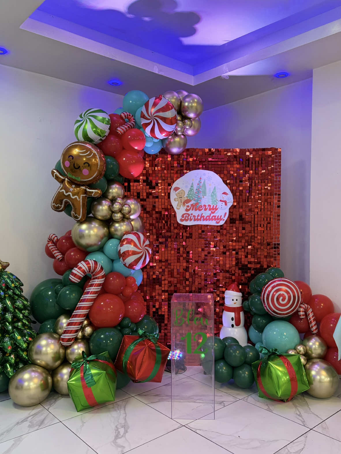 Merry Birthday Bleu🎄⛄️🎁 ✨12✨ Thank you for booking with us @Thereal.afro.Asian 🙏🏼 📩send us a Dm to book your special event with us 😊 #christmas #christmasdecor #merrychristmas #balloons#christmasballoons #birthday #balloongarland #celebration #eventdecor #kidsbirthday #bronxrentals #cumpleaños #balloongarlandbackdrop #christmasbirthday