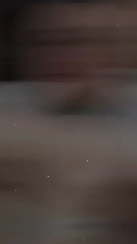 Hãy để anh được che chở em #fypシ #nhacnaychillphet 