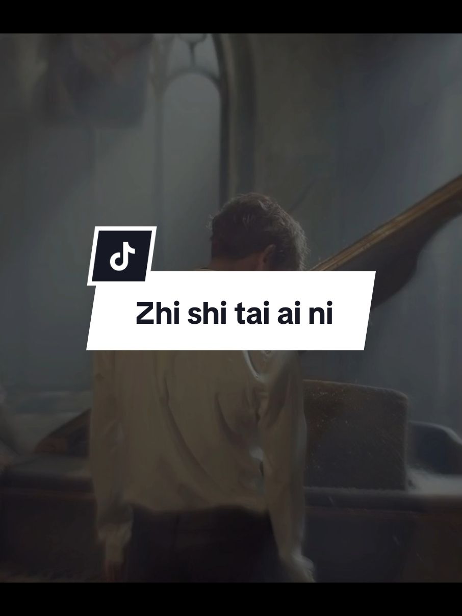 zhi shi tai ai ni #foryou #抖音 #zhishitaiaini #只是太爱你 #sadvibes 