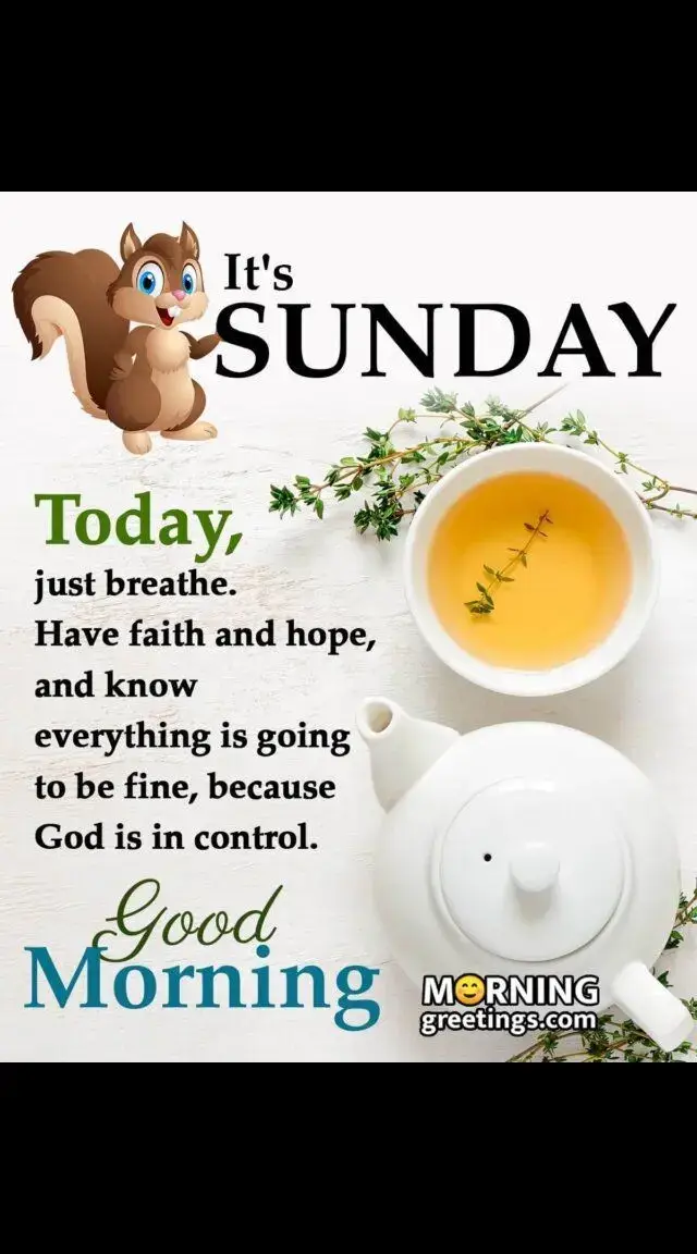 Sunday blessings to everyone good morning have a blessed day #foryoupage #fypシ゚ #fyp #🙏🙏🙏 