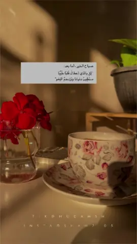صباح الورد و الياسمين الشامي 💚💚💚 ادعوا لأهلنا بسوريا ما تنسوهم 💚💚💚💚 #hudamsh #حالات_واتس_اب #صباح_الخير 