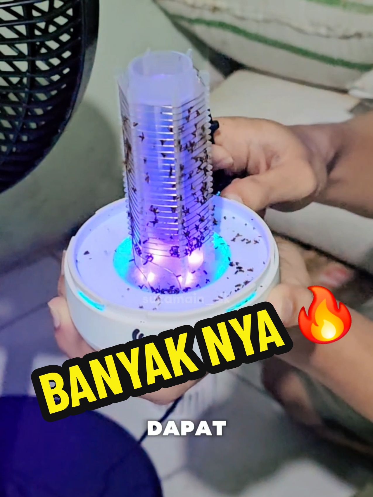 Lampu nyamuk pak, eh malah gacor dapat banyak serangga tiap malam. Triknya matikan lampu bener bener gelap total, hanya lampu ini yang nyala beh langsung masuk semua pak. Ini pengalaman saya sendiri, jika nyamuk serangga disekitar ga masuk itu saya ga tau pak. Yang pasti ini keadian real disaya #penangkapnyamuk #lampuserangga #lampunyamuk #sukamain #cuantanpabatas #megaguncang1212 #jagoanvideotrending 