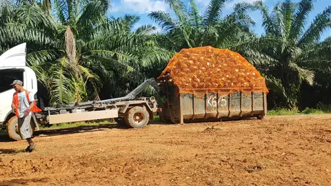 #lorirorosawit#lorisawitmalaysia#luncur🛫🚀 #fyp 