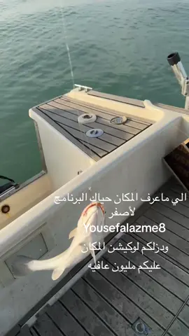 #الكويت #الكويت🇰🇼 #kuwait #kuwait🇰🇼 #دبي #الرياض #البحرين #قطر #عمان #الخليج #السعوديه #الامارات #حداق #نويبي #صيد #بحر #طراد #ترند #ترندات_تيك_توك #ترندات 