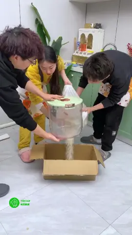 Gạo ăn giờ không lo bị ẩm mốc nữa rồi 😂 🔑