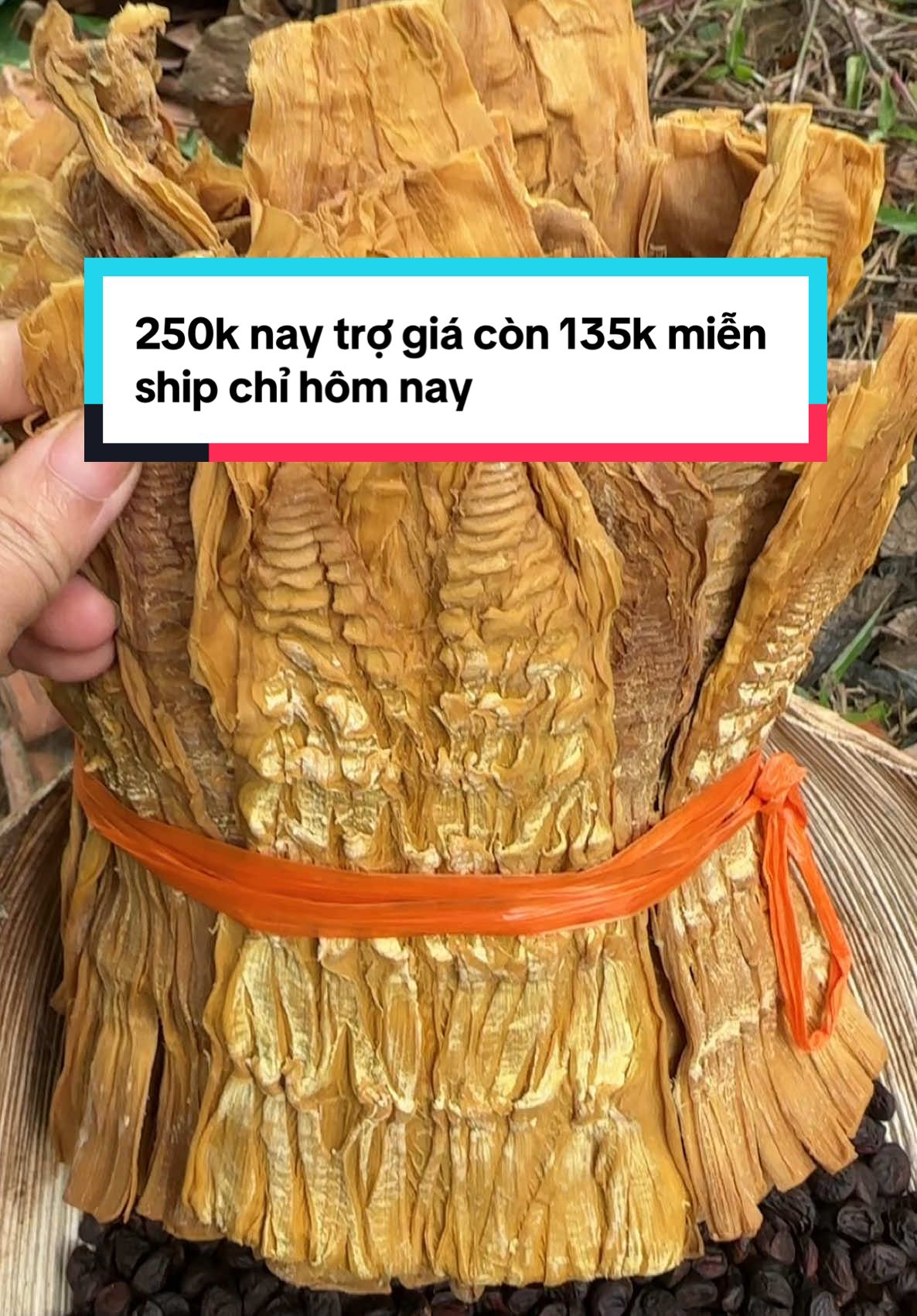 Măng mầm ngọt tây Bắc #dientaybac21 #mangmamngot #mangkhotaybac #mangkhorung #mangrungtunhien 