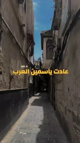 عادت تلك القديمة عادت تلك الطيبة بعد غياب عادت تلك العاشقة الجميلة وجدائلها الفاتنة ورائحتها الزكية عادت الينا وكانها بتول كنت انتظرها منذ مدة عادت فاتنة الشرق 🤎          #اكسبلور #viral #foryou #fyp #سوريا🇸🇾 #دمشق_حلب_حمص_حماة_طرطوس_الاذقية 