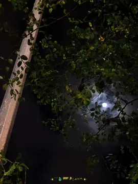 جزء 1 | طمني مره الفرقه مره 🖤🎶 ----- #WelcomeWassouf #الزمن_الجميل  #viral_video #استوريهات_واتساب #ترند_جديد #اغاني #fypppppppppppppp #fyp #حالات_واتس #for_you #gul_music #تصميم_فيديوهات🎶🎤🎬 #2024 #تصميمي #ترندات 