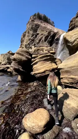 Пейзажи эпохи динозавров, только на Сахалине😍