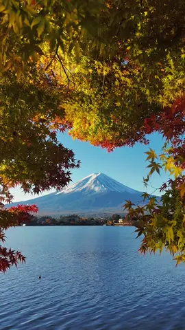 Autumn around mt.fuji 🍂🗻 #mtfuji #japan #traveljapan #autumn #秋 #富士山 #srilanka #srilankan_tik_tok🇱🇰 #srilankajapantiktok🇱🇰🇯🇵 #fyu #fyp 