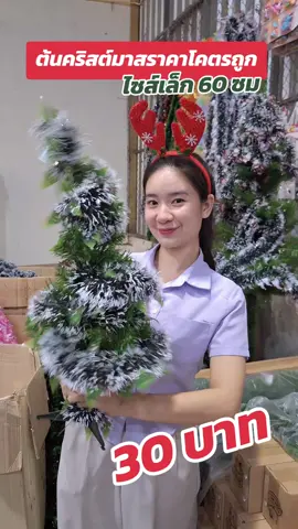 ไซส์เล็ก 60 ซมราคาโคตรถูก #merrychristmas🎄 #christmas #ต้นคริสต์มาส #โกดังค้าส่งเชียงใหม่ #ถูกใจมากมาย  #CapCut 