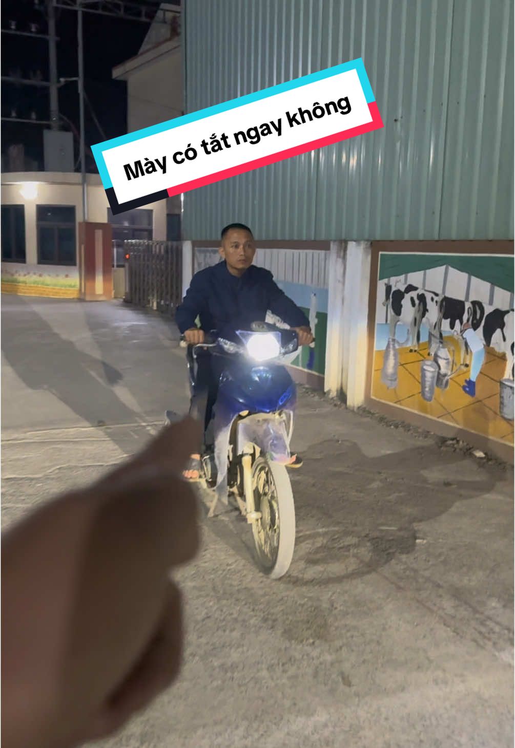 Đi không đi cứ nháy pha #tammaotv #xuhuong #maodede #denxemay #denled @Tam Mao TV @Mao Đệ Đệ 