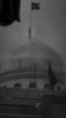 على  عـيونج يزينب حلم ...#باسم_الكربلائي 