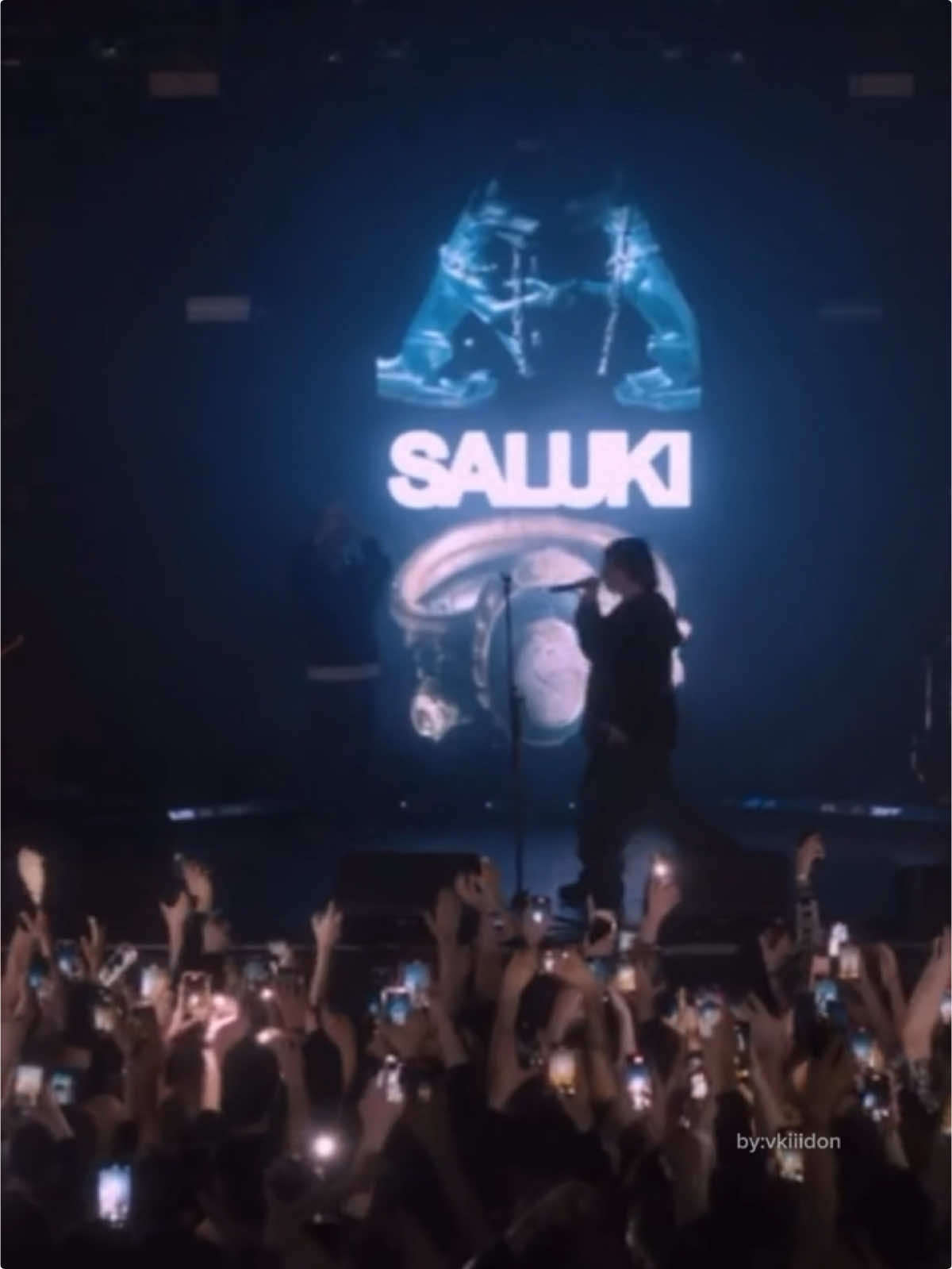 Тут играет салуки #салуки #дикийвосток #большиекуртки #алыепаруса2024 #рекомендации #васяхонор #янамыж