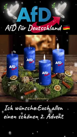 Ich wünsche euch allen einen schönen 2.Advent 💙🇩🇪🕊️🇩🇪💙.         #afd #afddeutschland #🇩🇪 #🕊️ #advent #kerzen 