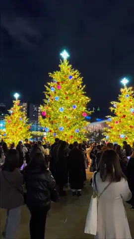 天王寺で開催中のてんしばクリスマスマーケット!!🎄 関西のクリスマスマーケットの中でかなりおすすめできるかも！！ #fyp #天王寺グルメ #クリスマスマーケット