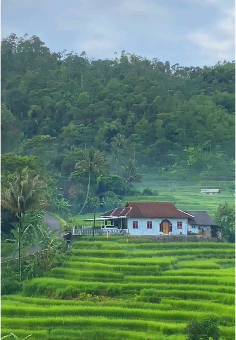 Gambaran mu urip pekalongan bagian gunung  #fyp #peklongan24jam #paninggaranpekalongan #pekalonganinfo #morningvibes #kaliombo 