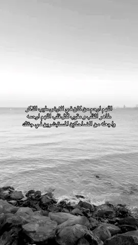 #احمد_ناصر_الجلال #احمد_الجلال #fyp #الشوق_للميت_يُميت #viral 