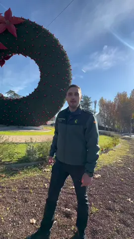 🌲Llegó la fecha de decorar la casa para laa fiestas 🎄 Si vas a usar musgo o muérdago para la decoración navideña, ‼️CUIDADO son especies protegidas 🌿 Apunta estas opciones y no olvides que lo importante es proteger la naturaleza 💚