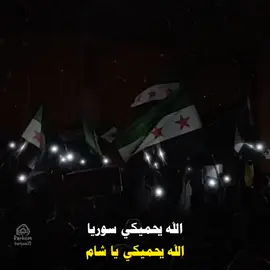 انتي بلدنا وانتي سندنا💚✌ #نعيم_الشيخ  #سوريا_حره  #barhom_65  #الله_يحميكي_سوريا @نعيم الشيخ | Naeim AlSheikh 
