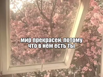 #мефен #щитпост #щп #милыевидео #fyp 