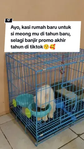 Ayo, Buruan di order kandang baru ya untuk kucing kesayangan anda 🐾 ✔️ Besi kokoh & tahan lama ✔️ Aman & nyaman untuk si meong ✔️ Harga hemat, kualitas mantap! Beri tempat terbaik untuk kucing kesayangan tanpa khawatir soal budget! 📦 Siap kirim sekarang! #KandangKucingMurah #KucingBahagia #KandangBesiKokoh #KucingLovers #PetCareMurah #KucingIndonesia #KucingLovers #cat #catlover #mrresult93 #promoguncang1212 #wibgajian #fyf #masukberanda #furniture #1212 #akhirtahun #petcare #kucing #fypppppppppppppp #groomingkucing #hewanpeliharaan #catsoftiktok #kucingviral #aksesorishewan 