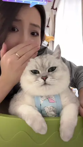 Tâm sự nhỏ #meow #typ 