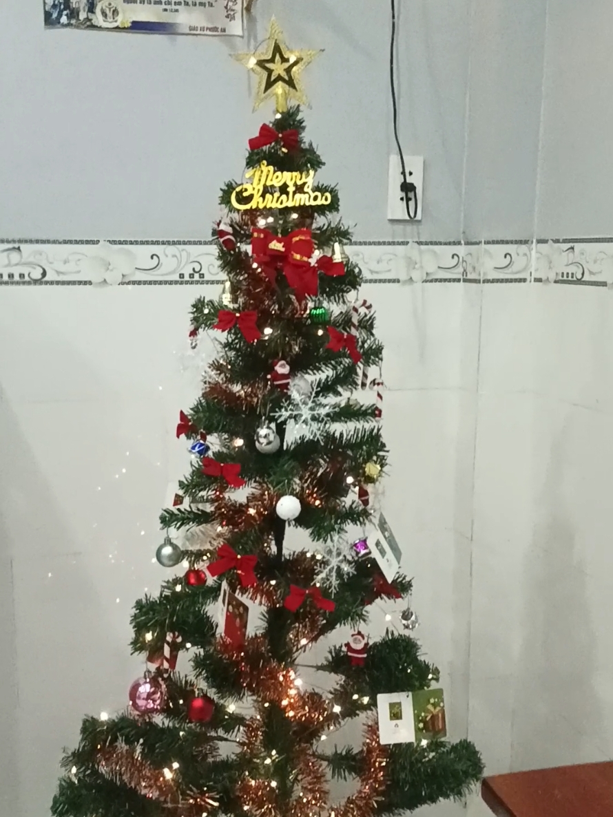 mọi người trang trí giáng sinh như thế nào rồi 💕 không nghĩ cây tùng full phụ kiện có đèn với hơn hai trăm cá  mà quá đẹp  #giangsinh  #noel  #trangtrigiangsinh  #câythongnoen 