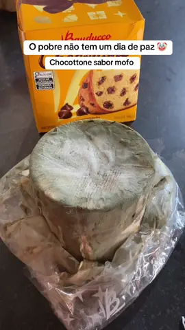 chocottone com gotas de mofo @bauducco  #natal #chocottone #panetone #chocotonebauducco 