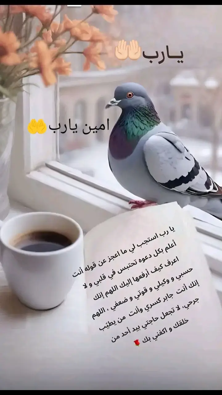 #اللهم_استجيب_دعوتنا_يا_الله #يارب❤️ #يارب_دعوتك_فأستجب_لي_دعائي #اللهم_امين #🤲🤲🕋🕋🤲🤲🕋🕋🤲🤲🕋 