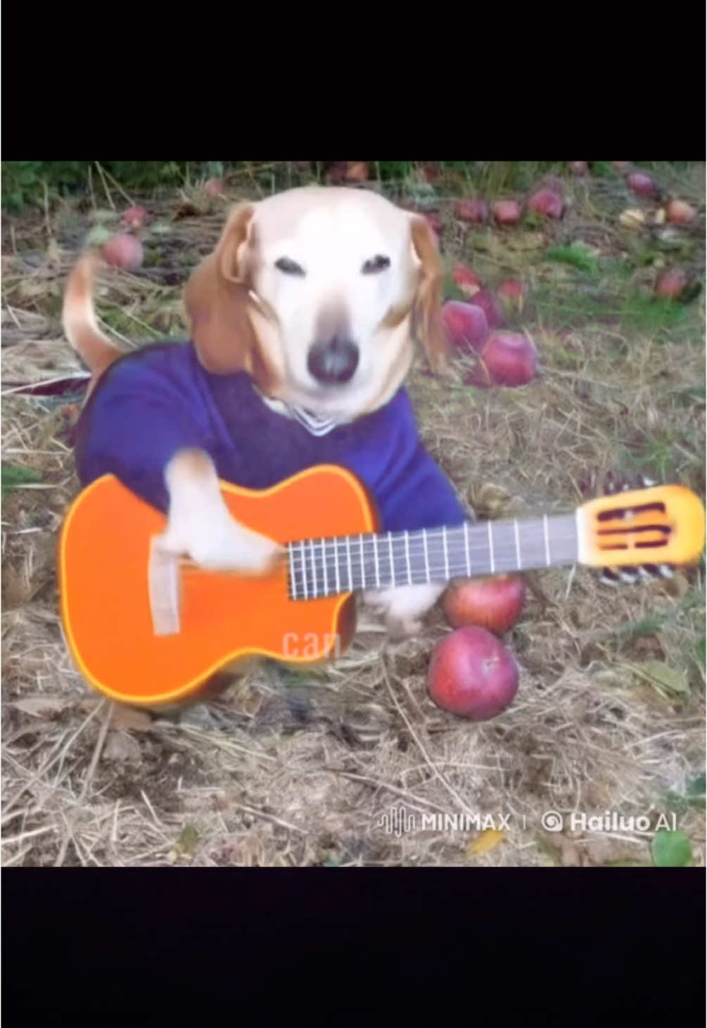 #appledog 