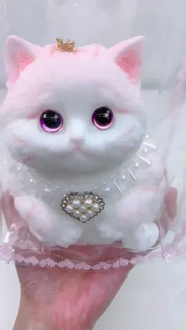 FUFUSQUISHY ASMR 🐈🐈Giant Pink Cat