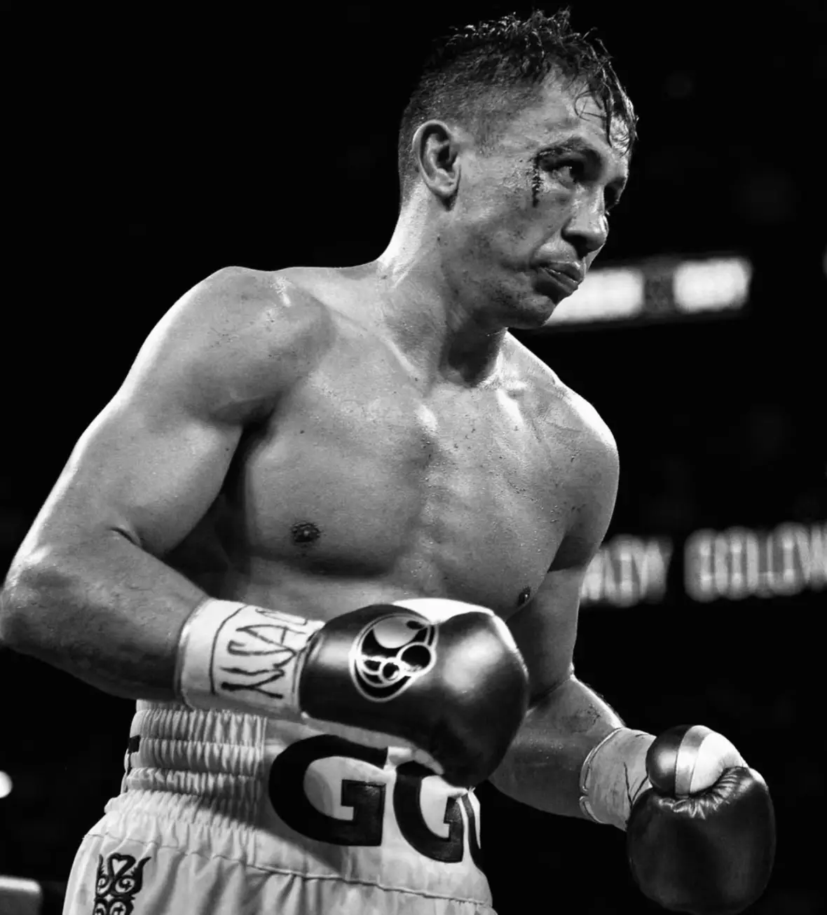 #gennadygolovkin #gggboxing #caneloalvarez 