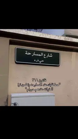 #مسروح_بن_عامر #مسارحه #بني_مسروح #fyp #foryou #explore #tiktok #311