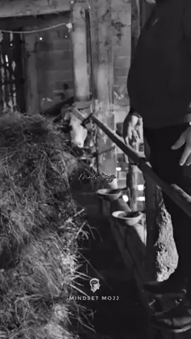 #foryou #foryoupage #motivacija #viral_video #balkan #viral 