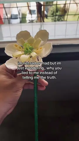 🧎🏼‍➡️ #fyp 