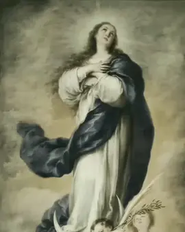 Música: Aghni Parthene; Divna Ljubojević. O Dia da Imaculada Conceição é celebrado em 8 de dezembro e é uma das festas mais importantes do calendário litúrgico católico. Essa solenidade honra o dogma proclamado em 1854 pelo Papa Pio IX, que afirma que Maria, mãe de Jesus, foi concebida sem a mancha do pecado original, em vista dos méritos de Cristo. Essa data nos convida a meditar sobre a santidade de Maria e sua entrega total a Deus, sendo um exemplo de pureza, humildade e obediência para todos os cristãos. Viva a Imaculada Conceição! 🙏🏻 #jesus #jesuslovesyou #fyp #religiao #maria #imaculada #cristao #catolicos 