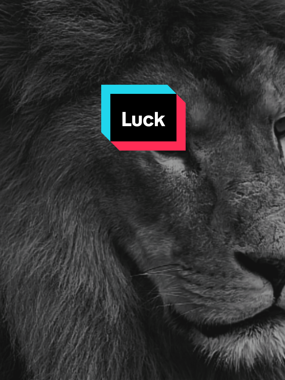 علمتني الحياة أن الطيبون لا يملكون الحظ Life taught me that good people don't have luck #اقتباسات #حالات_واتس#تيك_توك #اكسبلور#ترند #كلام_من_ذهب #ستوريات#عبارات #تحفيز #motivation #fyp#viral_video #السعودية #العراق #سوريا# #الاردن#المغرب #الجزائر#ليبيا#لبنان #الكويت #قطر #البحرين#تونس #عمان #tik_tok #tiktoklongs #treanding #newtrend 