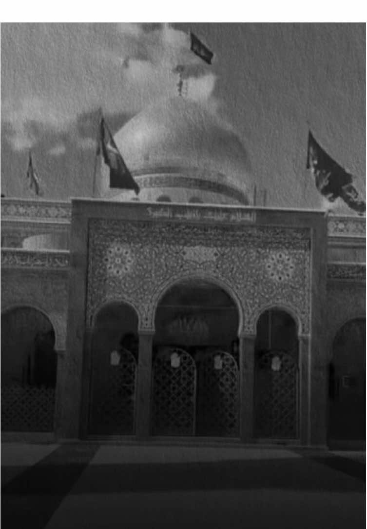 الشام غربة 💔 السلام على جبل الصبر مولاتي السيدة زينب  #سيد_فاقد #الشام_غربه #مولاتي_زينب #اكسبلور #البصرة 