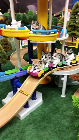 Kittens' Wild Ride on a Miniature Roller Coaster! 🐱 #kittens #kittycat #cat #meow #catlover #fyp 