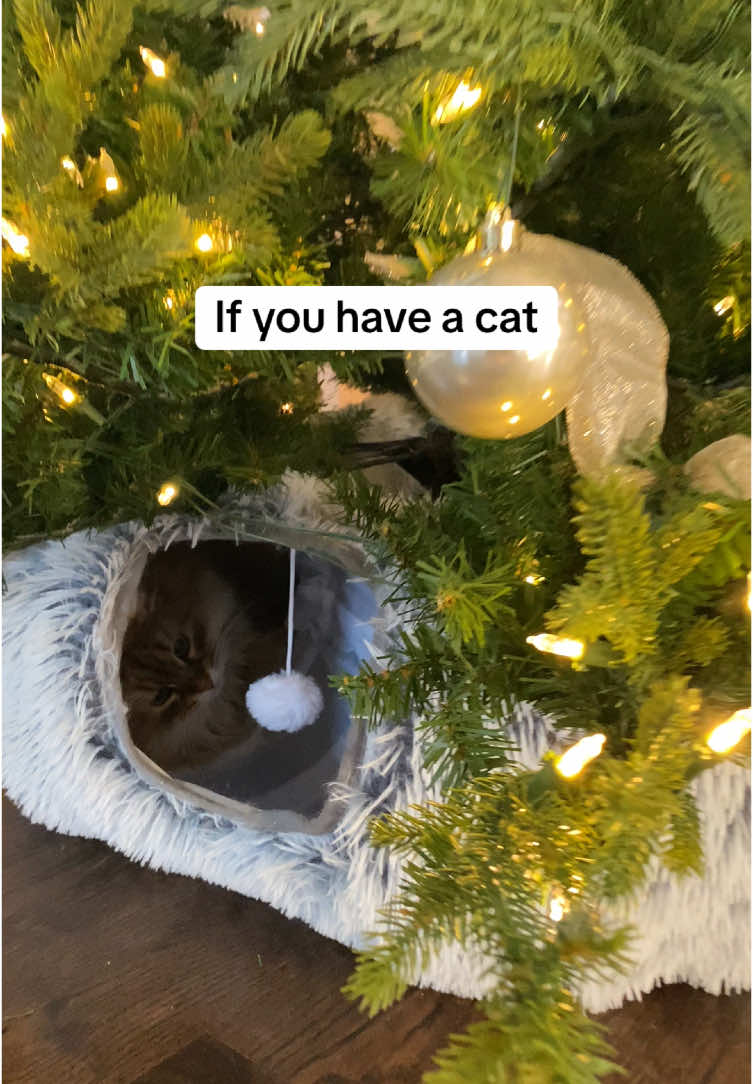 I tried out the viral trend with the cat tunnel underneath the Christmas tree and my cat loves it. It’s the perfect Christmas tree skirt for anyone with cats. This cat tunnel helps prevent my cat from climbing the Christmas tree because he just hides and sleeps in the tunnel. If you have a cat or know another cat owner, get one of these cat tunnels to put under your Christmas tree and use it as a tree skirt for the holiday season. Order yours in the TikTok shop today! #cat #cats #catlover #catsoftiktok #cattok #fyp #foryoupage #foryou #PetsOfTikTok #pets #christmas #catsvideo #catslovers #christmasgiftideas 