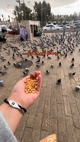 #trending #tiktok #tiktok #اجوائي_May #تصويري #vedio #تصوير #رساله_اليوم_تقول💌 