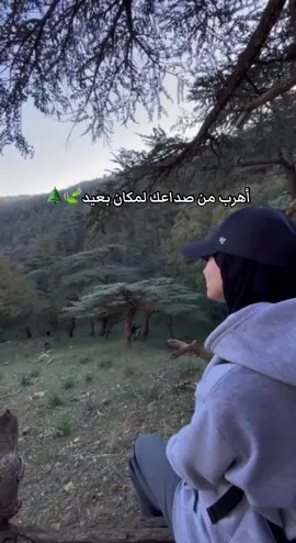 #fyp #fypシ゚ #nature #vibes #algeria #tik_tok #explore #vairal #m 